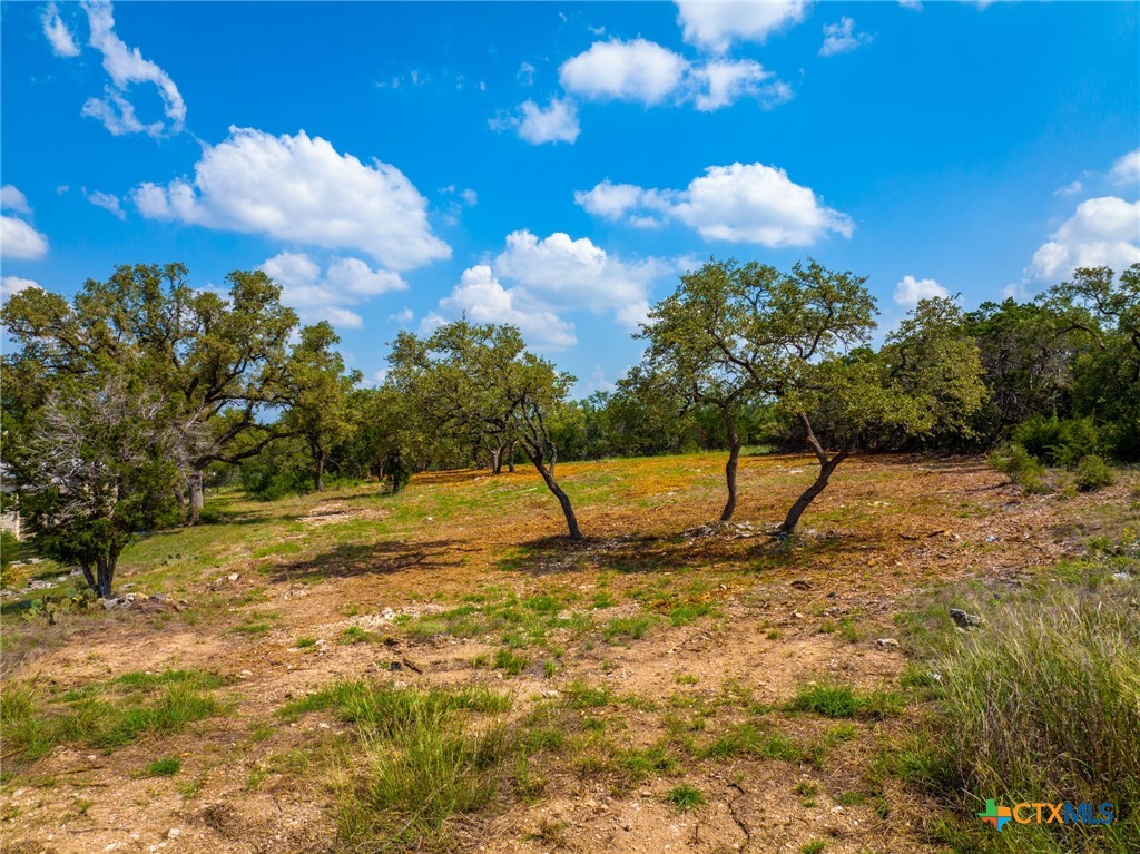 5922 Camp Creek Drive Property Photo 3