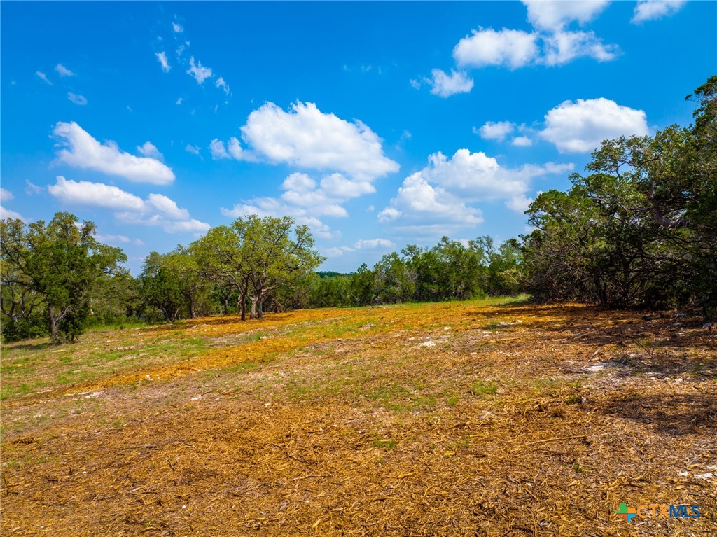 5922 Camp Creek Drive Property Photo 6