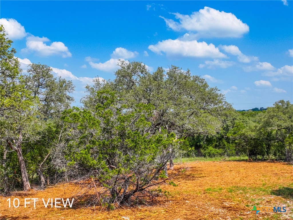 5922 Camp Creek Drive Property Photo 8