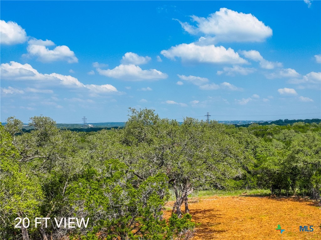5922 Camp Creek Drive Property Photo 10