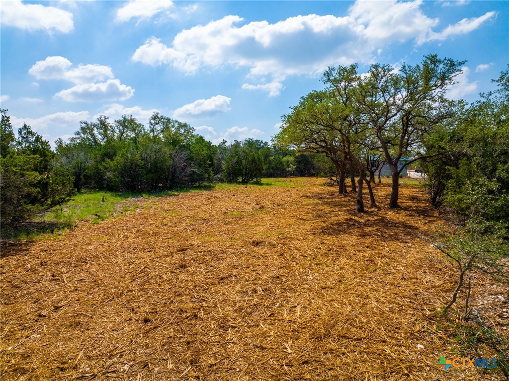 5922 Camp Creek Drive Property Photo 16