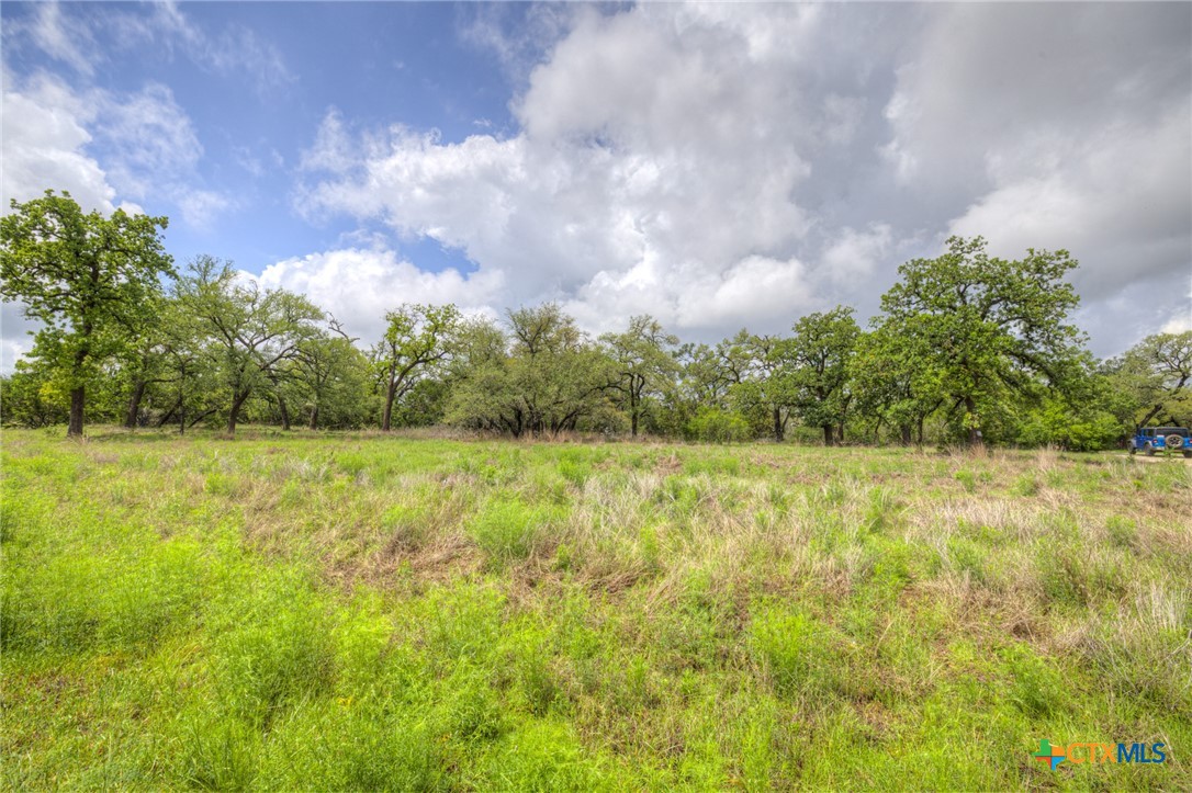 1251 Trailhead Property Photo 2