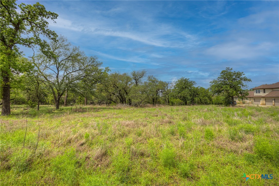 1251 Trailhead Property Photo 4