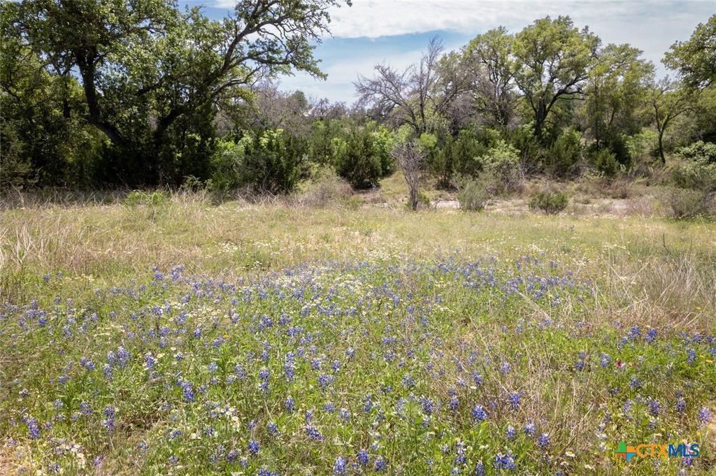 10930 E Fm 1431 Property Photo 6