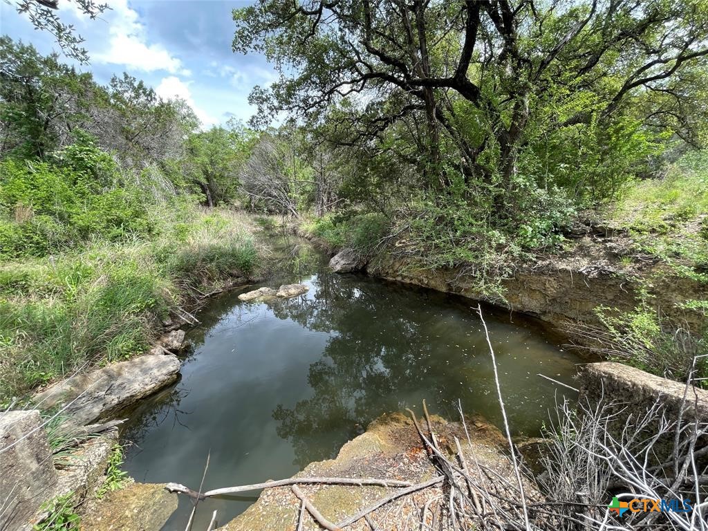 10930 E Fm 1431 Property Photo 8
