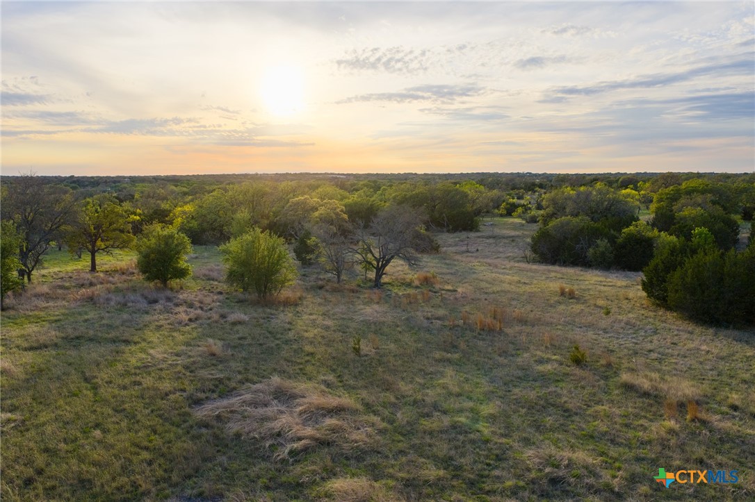 405 Blackjack Oak Drive Property Photo 1