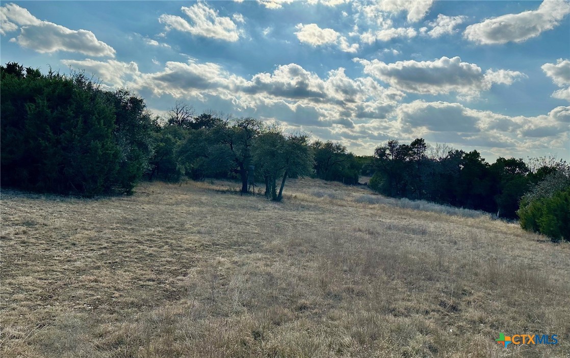Tbd Cr 299 Property Photo 4
