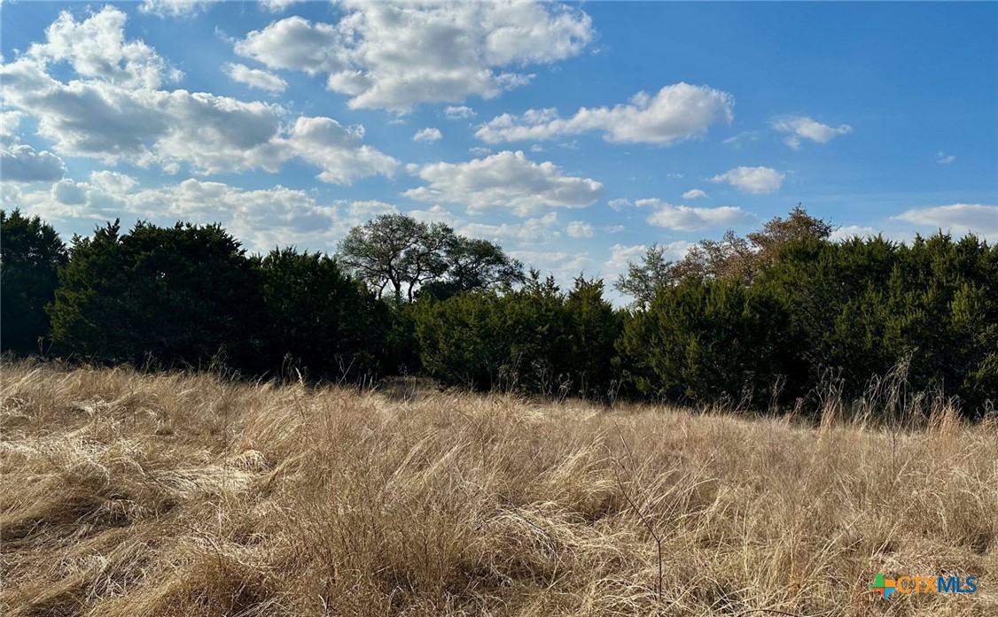 Tbd Cr 299 Property Photo 6