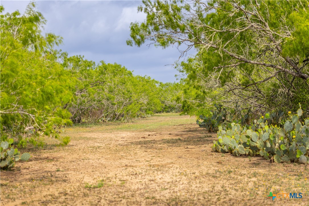 000 Fm 77 Property Photo 16