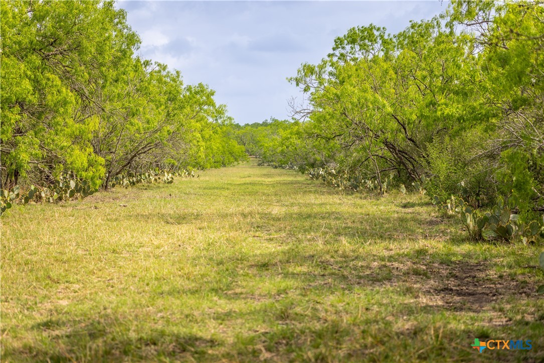 000 Fm 77 Property Photo 17