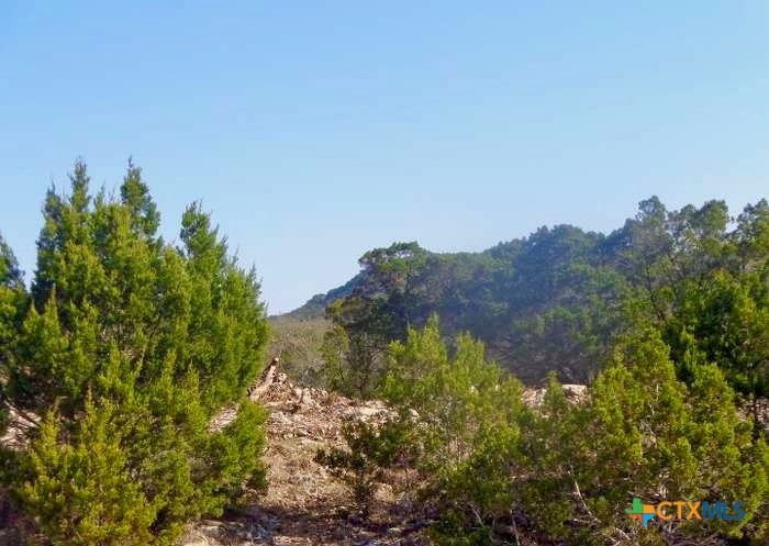 869 Flaman Road Property Photo 6