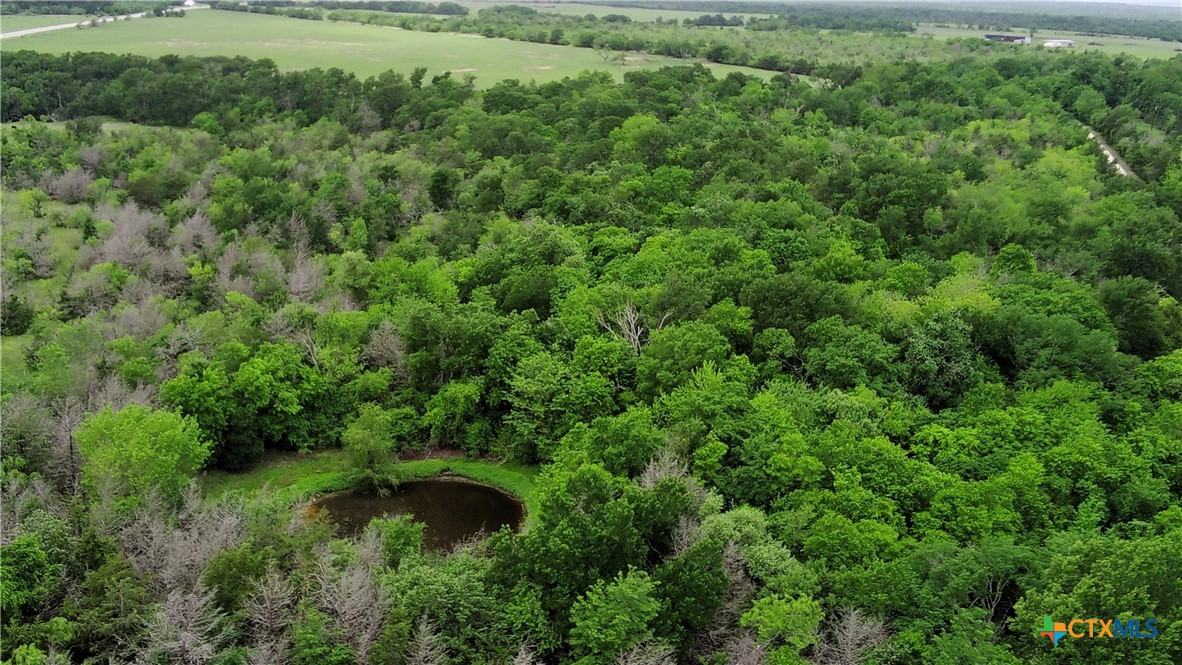 Tbd County Road 666 Property Photo 4