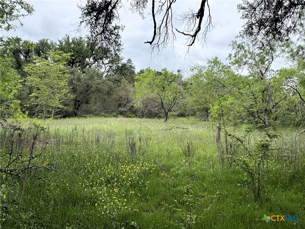 Tbd County Road 666 Property Photo 7