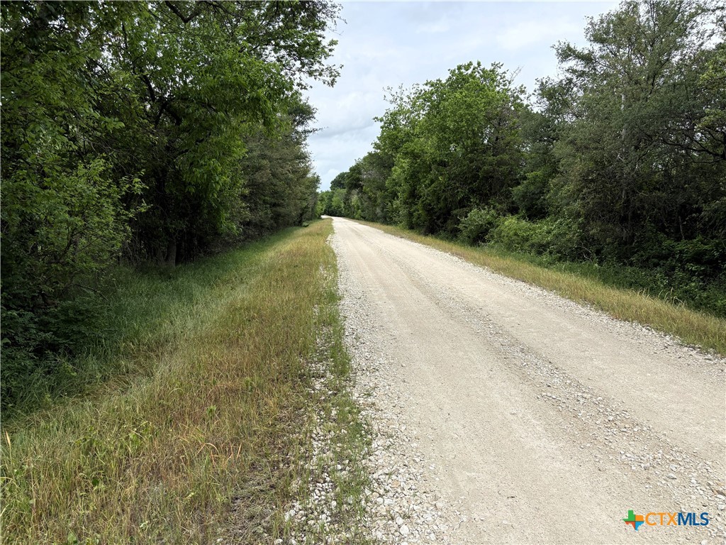 Tbd County Road 666 Property Photo 8