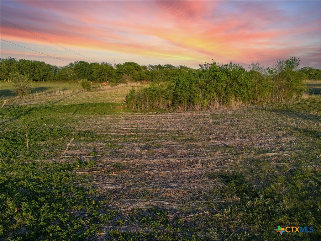 Tbd Willow Grove Road Property Photo 4