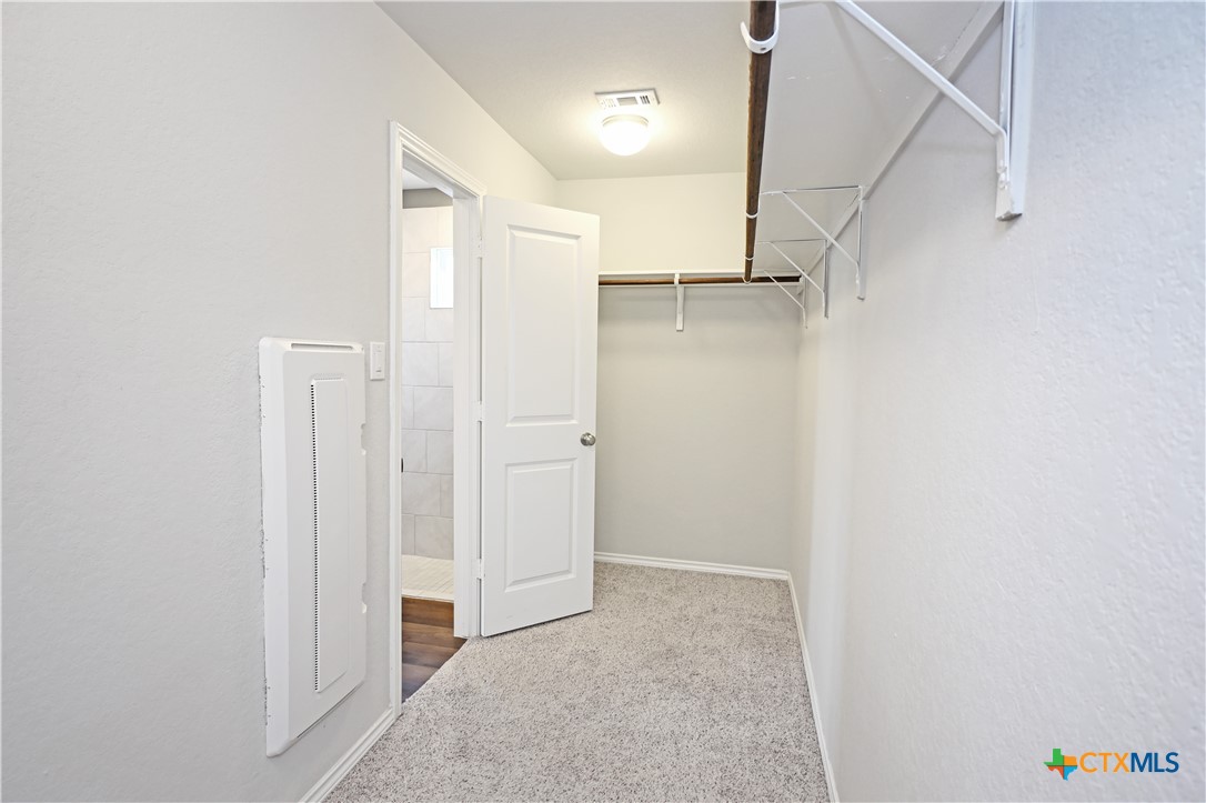 447 Agave Flats Drive Property Photo 30