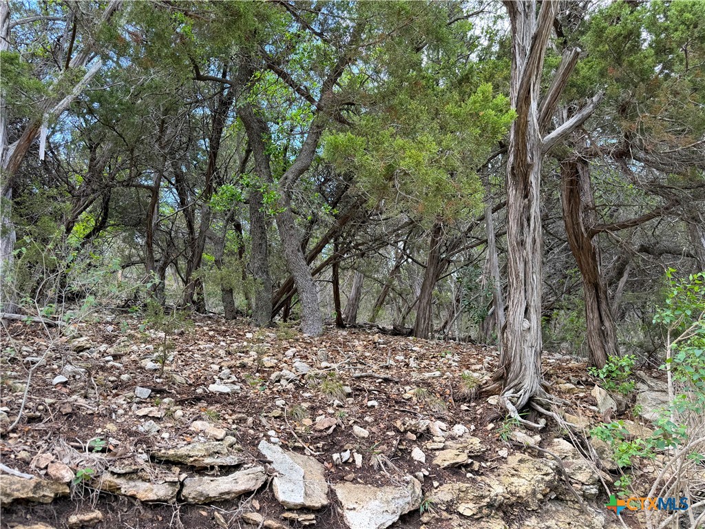 1758 Trail Pass Drive Property Photo 42