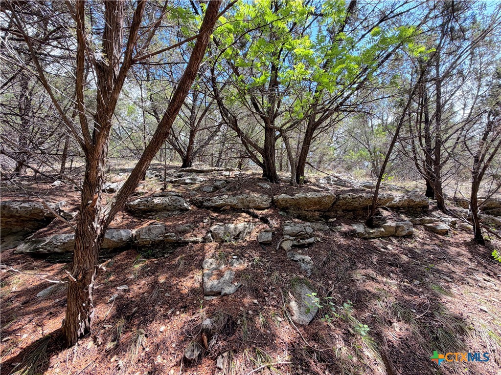1758 Trail Pass Drive Property Photo 44