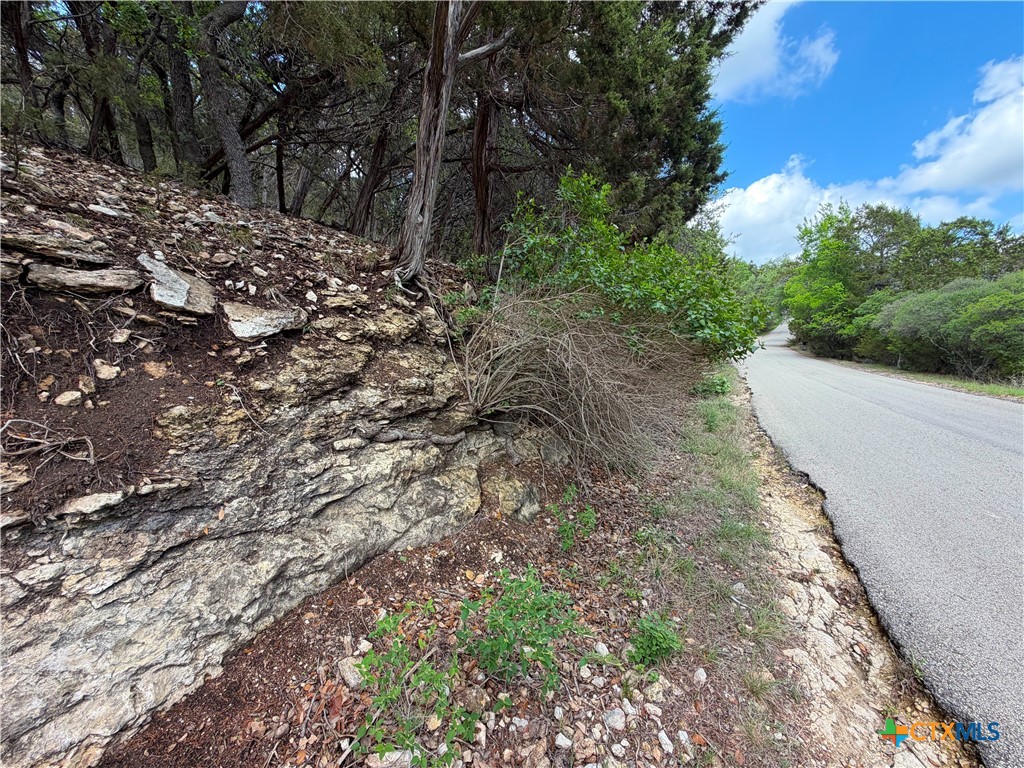 1758 Trail Pass Drive Property Photo 46
