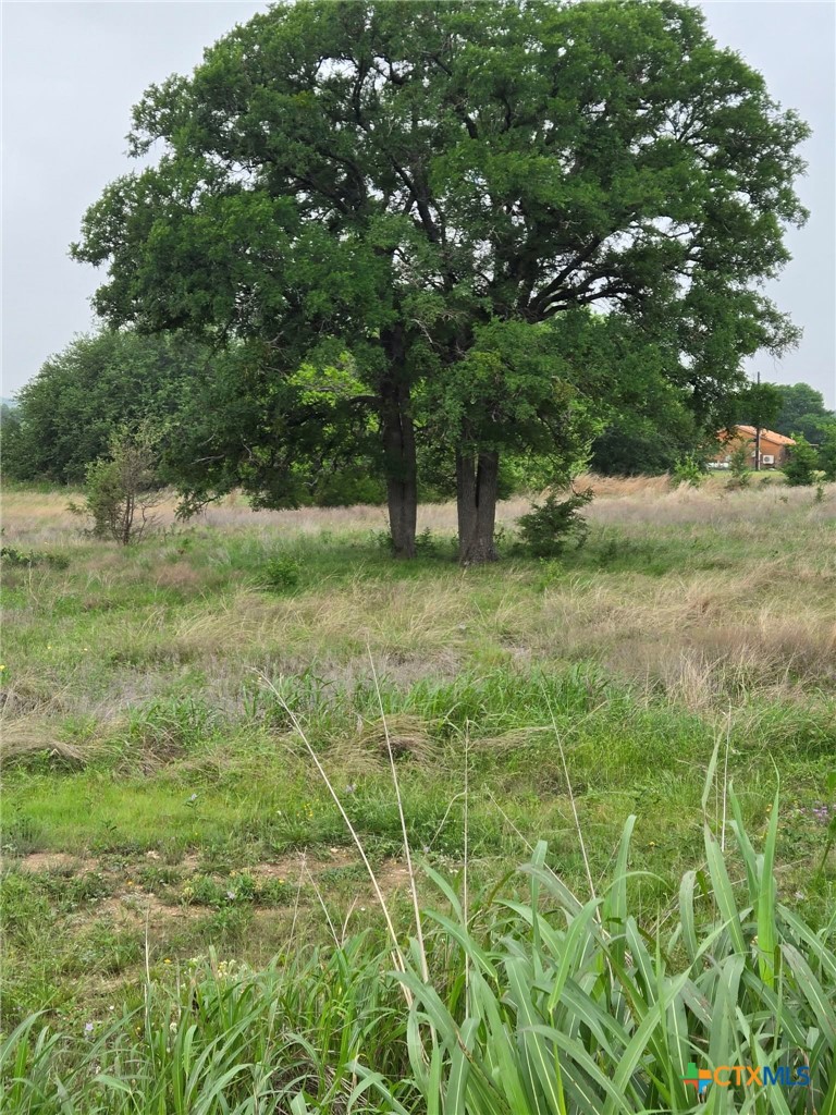 Tbd Yosemite Dr. Lot# 202 Drive Property Photo 2