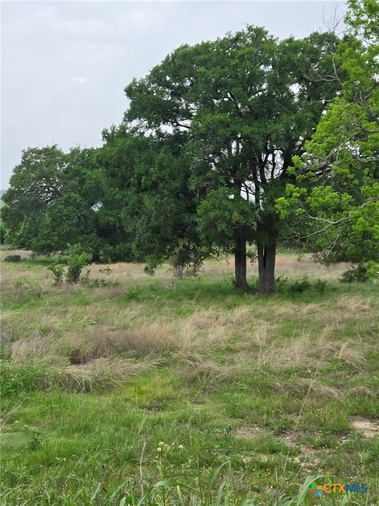 Tbd Yosemite Dr. Lot# 202 Drive Property Photo 4