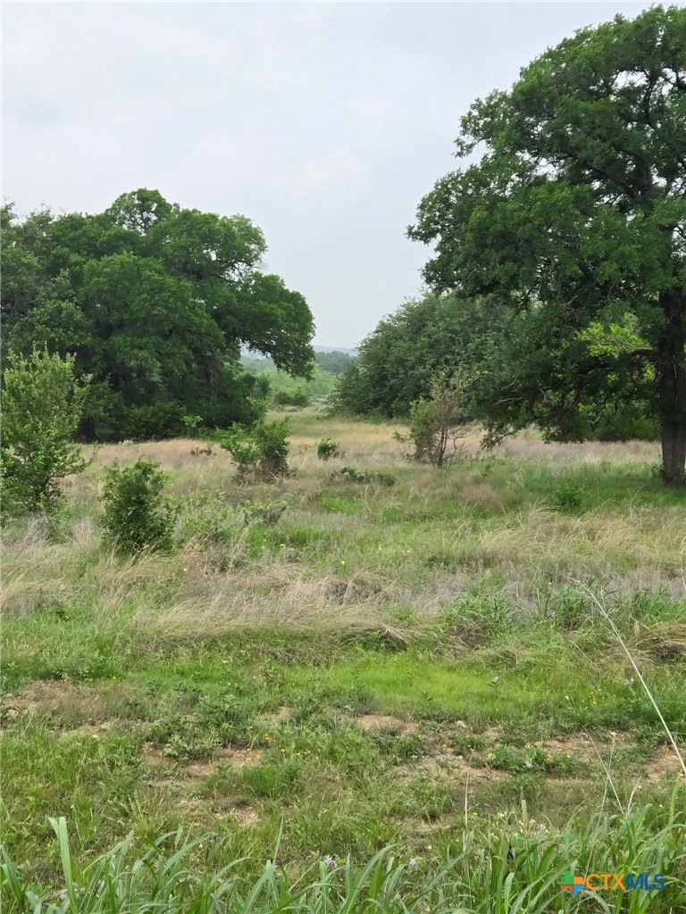 Tbd Yosemite Dr. Lot# 202 Drive Property Photo 5