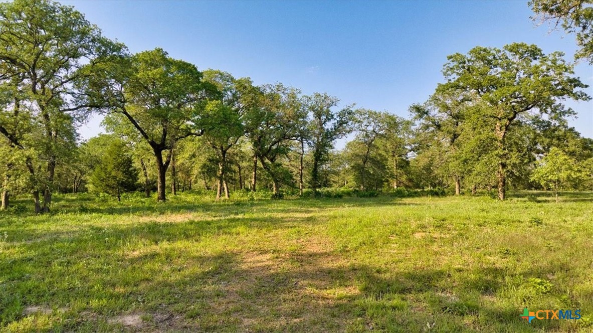 2095 County Road 442 Property Photo 16