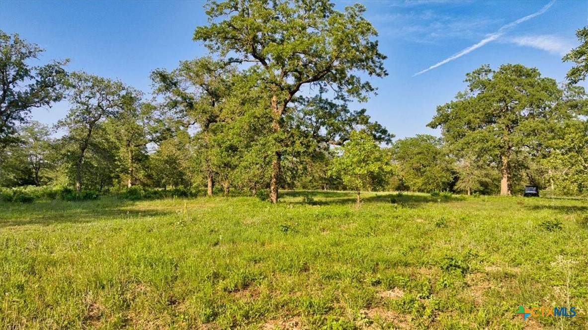 2095 County Road 442 Property Photo 17