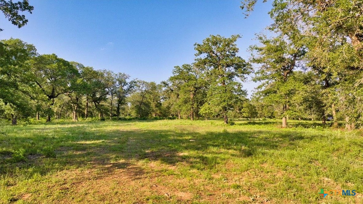 2095 County Road 442 Property Photo 18