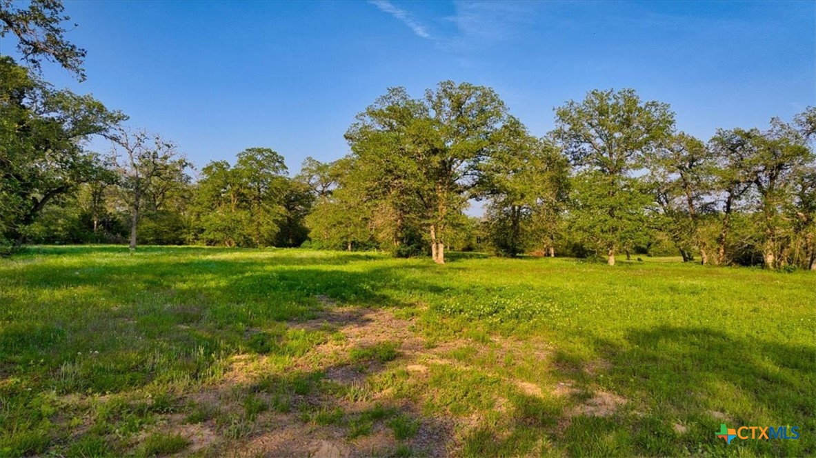 2095 County Road 442 Property Photo 30