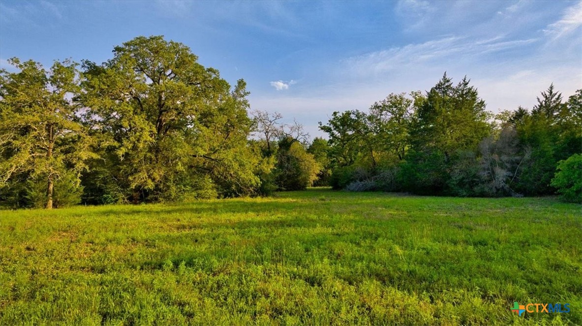 2095 County Road 442 Property Photo 34