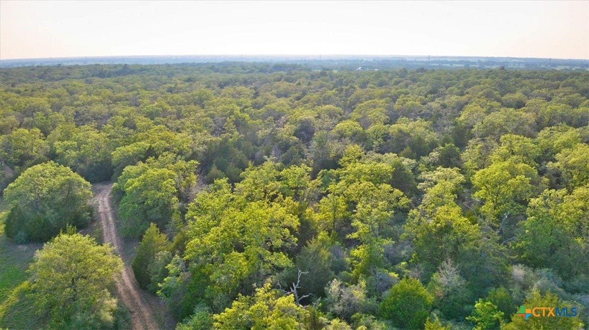 2095 County Road 442 Property Photo 35