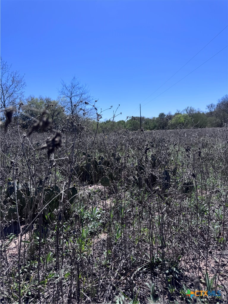 3775 Baker Road Property Photo 6