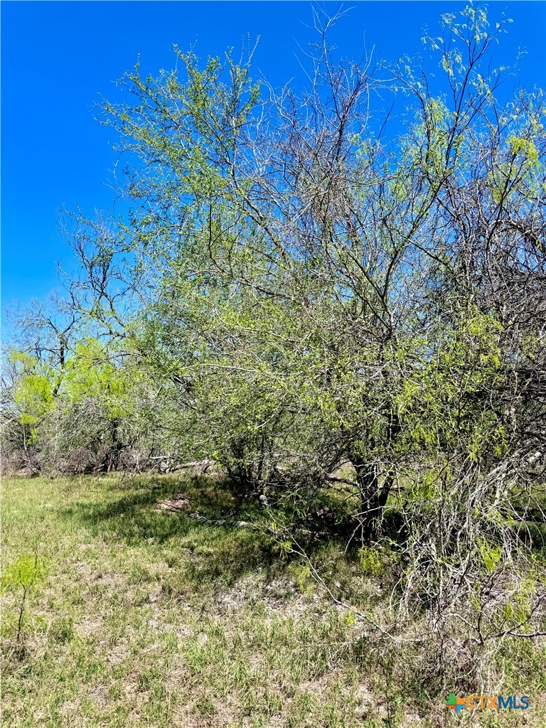 3775 Baker Road Property Photo 9