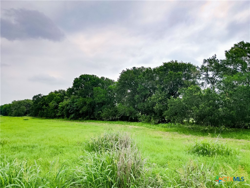 Tbd Fm 1854 Property Photo 6