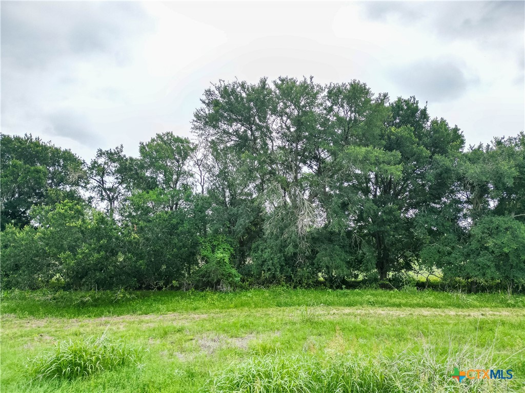Tbd Fm 1854 Property Photo 9