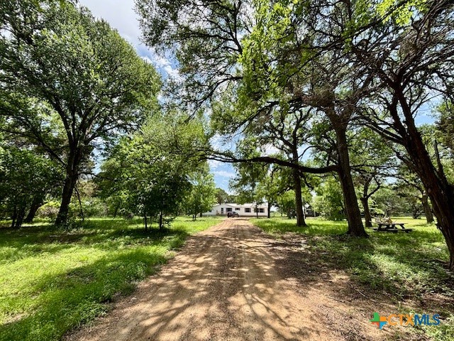 6430 E Us Highway 84 Property Photo 10