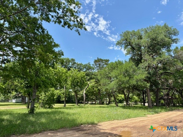 6430 E Us Highway 84 Property Photo 11