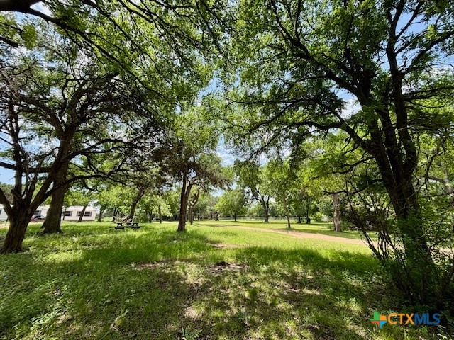 6430 E Us Highway 84 Property Photo 12