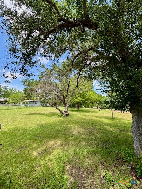 6430 E Us Highway 84 Property Photo 14