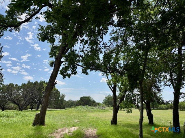 6430 E Us Highway 84 Property Photo 15