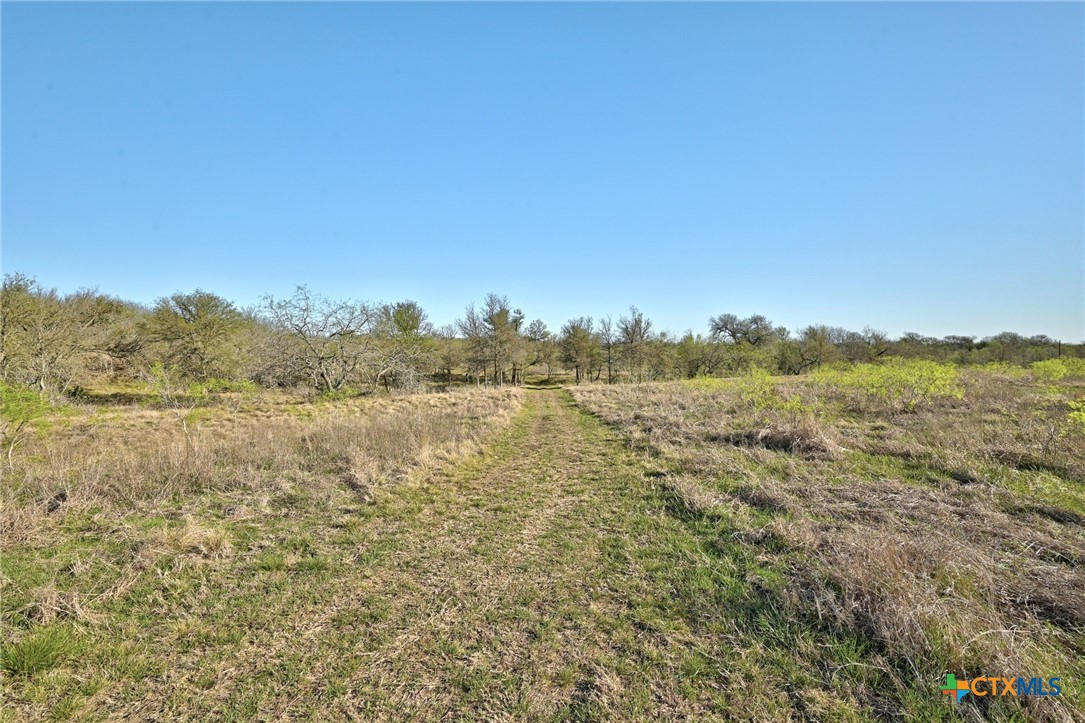 120 Loopsy Lane Property Photo 26