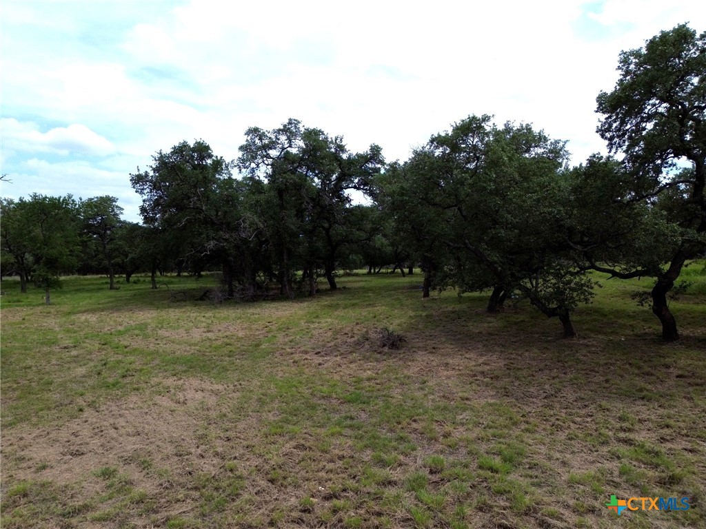 8119 Haley Court Property Photo 4