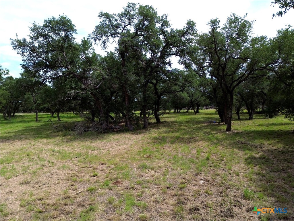 8119 Haley Court Property Photo 6