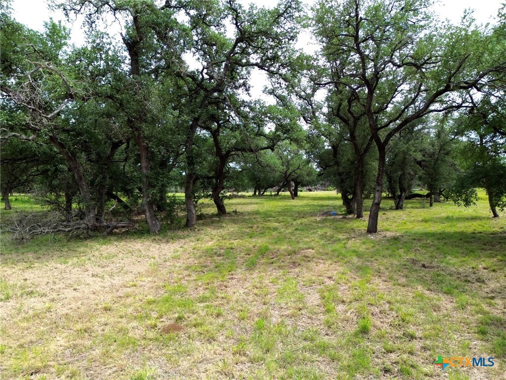 8119 Haley Court Property Photo 8