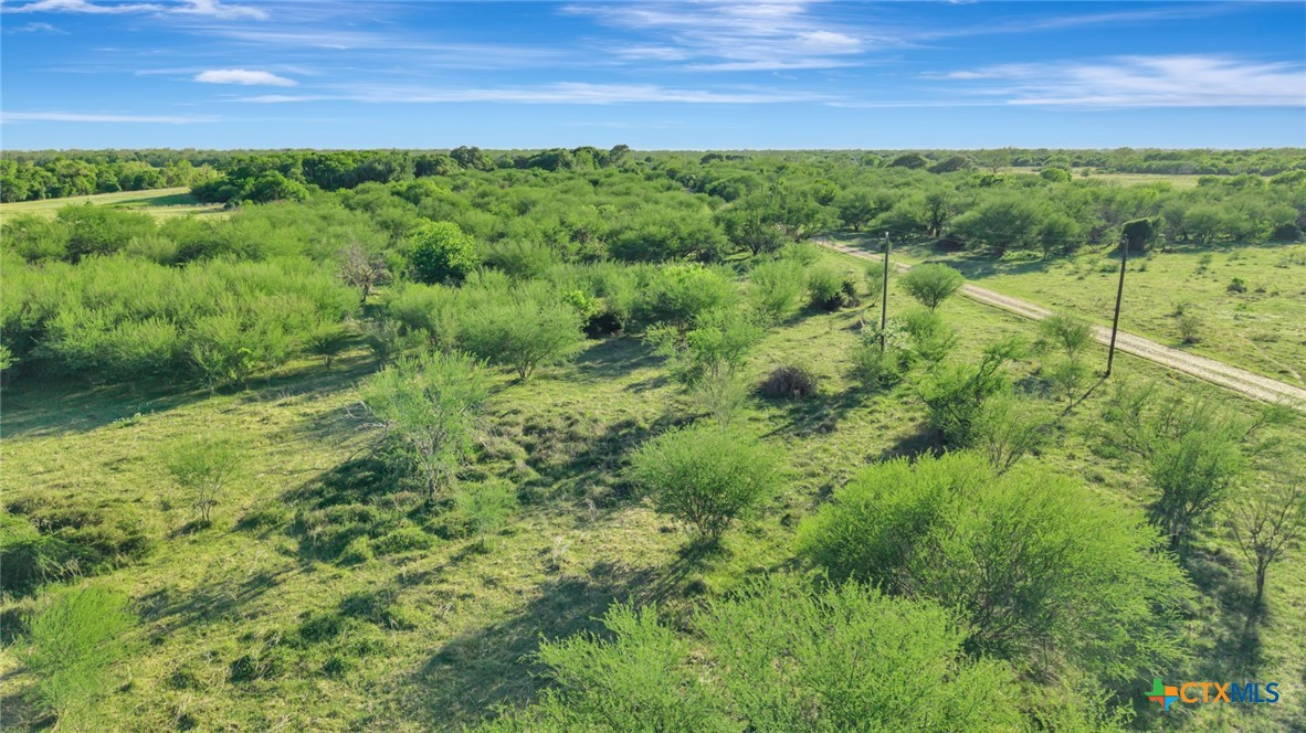 6753 Us-87 Property Photo 22