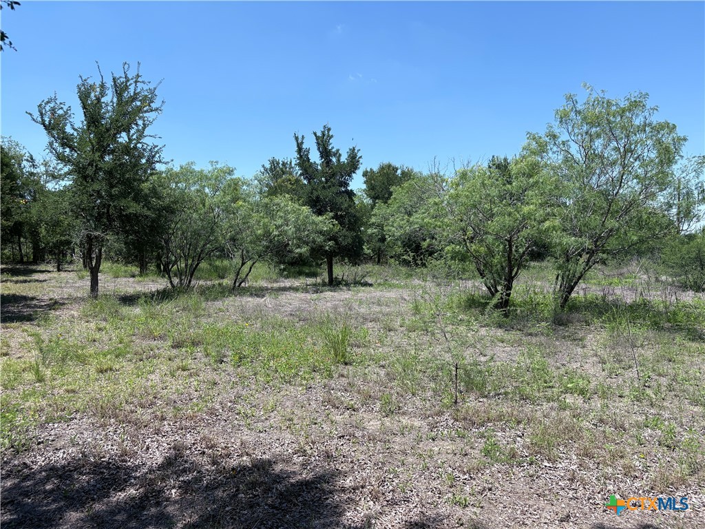 210 Horace Howard Drive Property Photo 5