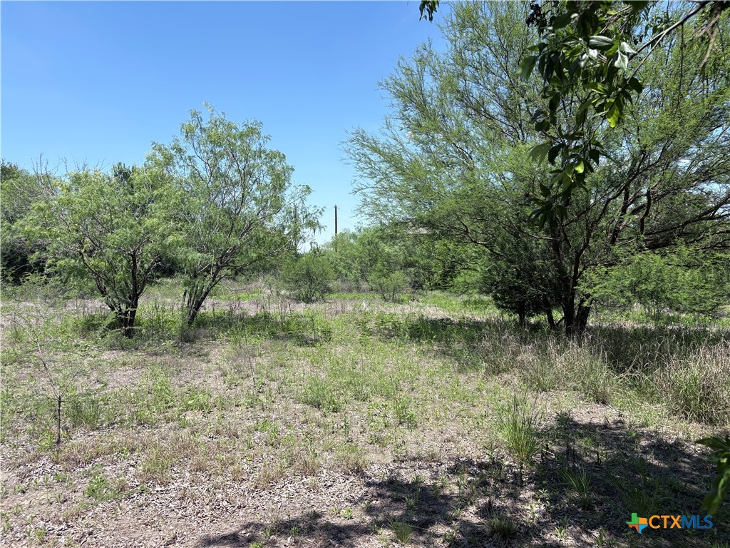 210 Horace Howard Drive Property Photo 6