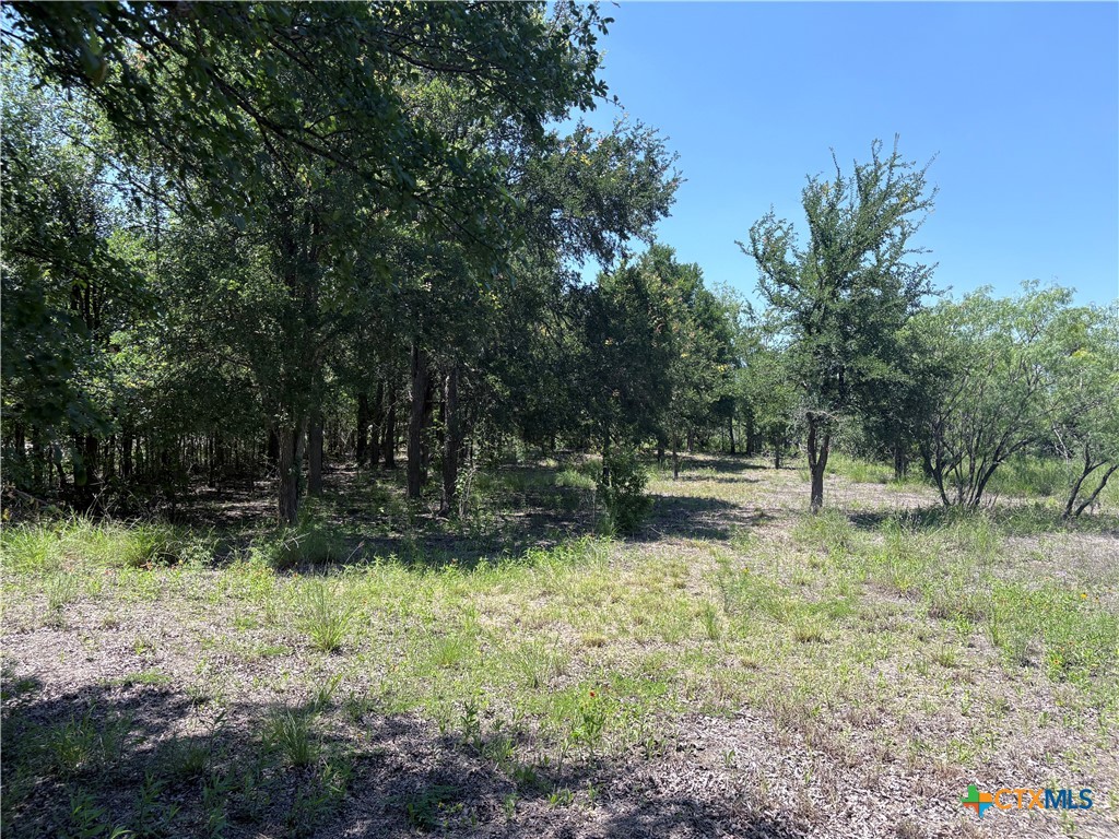 210 Horace Howard Drive Property Photo 7