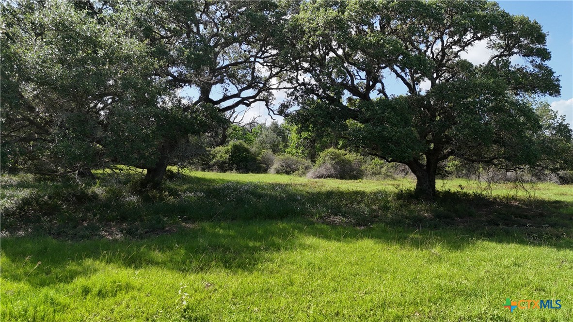 10772 State Highway 111 Property Photo 8
